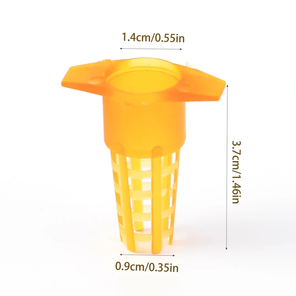 50 Pcs King Cells Plastic Bee  - Begonia Rex ulasan dan harga
