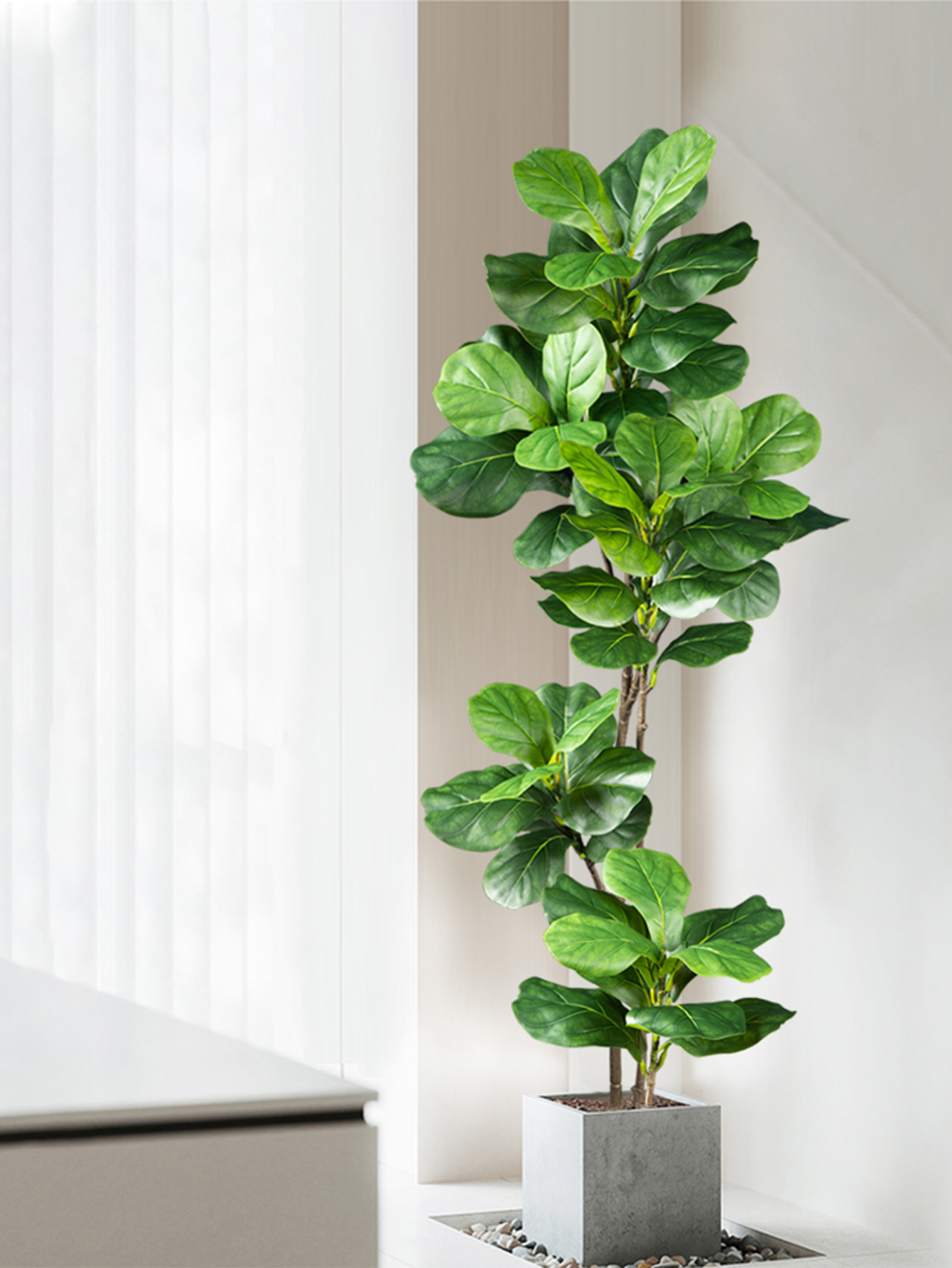 70-135cm Large Artificial Ficu - Dracaena Marginata ulasan dan harga