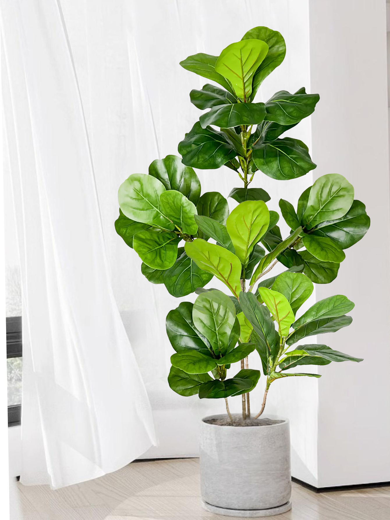 70-135cm Large Artificial Ficu - Dracaena Marginata ulasan dan harga