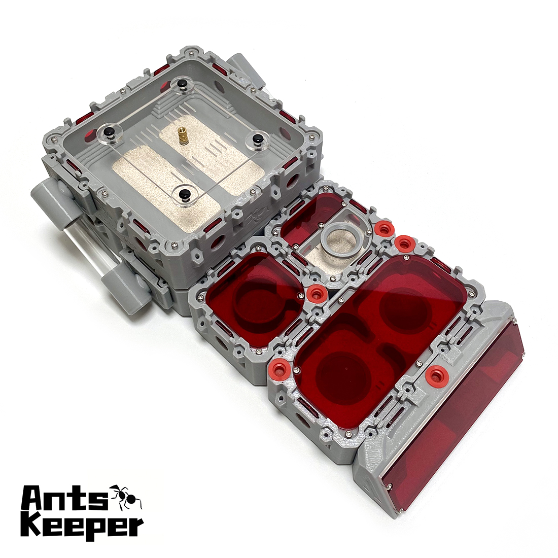 【Lego】Expandable Modular Formi - Begonia Rex ulasan dan harga