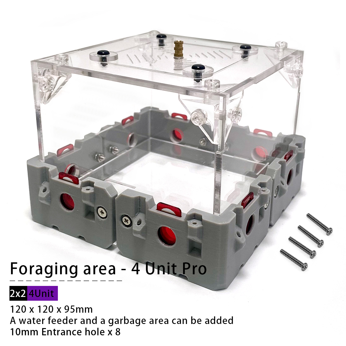 【Lego】Expandable Modular Formi - Begonia Rex ulasan dan harga