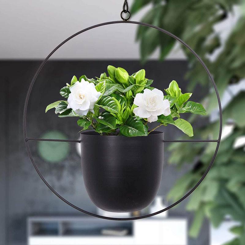Hanging Iron Art Plant Pots Ba - Spider Plant Hanging ulasan dan harga