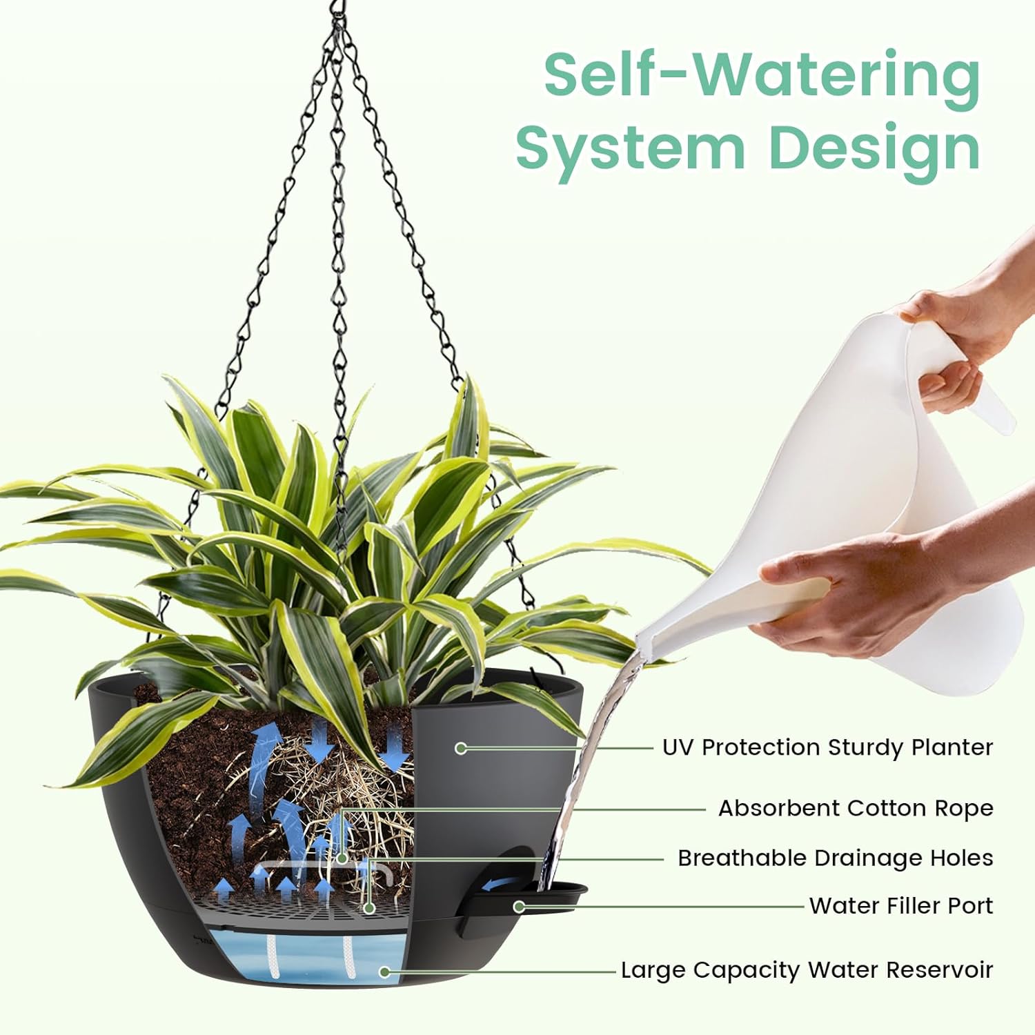 8 Inch Self Watering Hanging P - Spider Plant Hanging ulasan dan harga