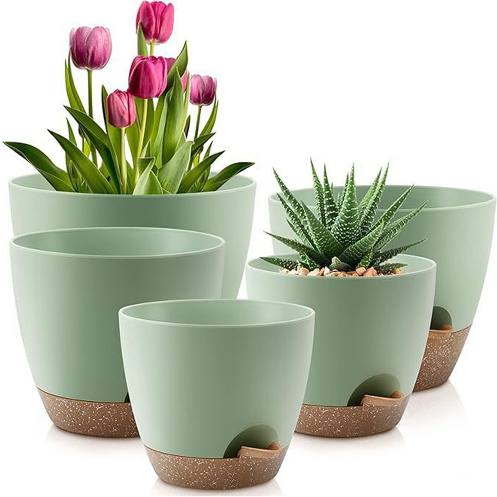 5piece Indoor Flower Pots With - Aloe Vera Pot ulasan dan harga