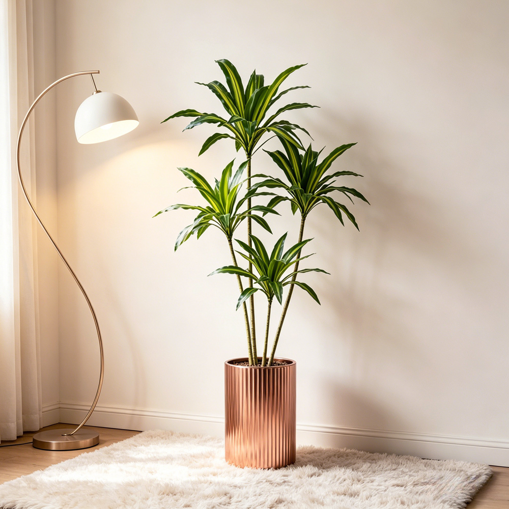 80-165cm Large Artifcial Draca - Dracaena Marginata ulasan dan harga
