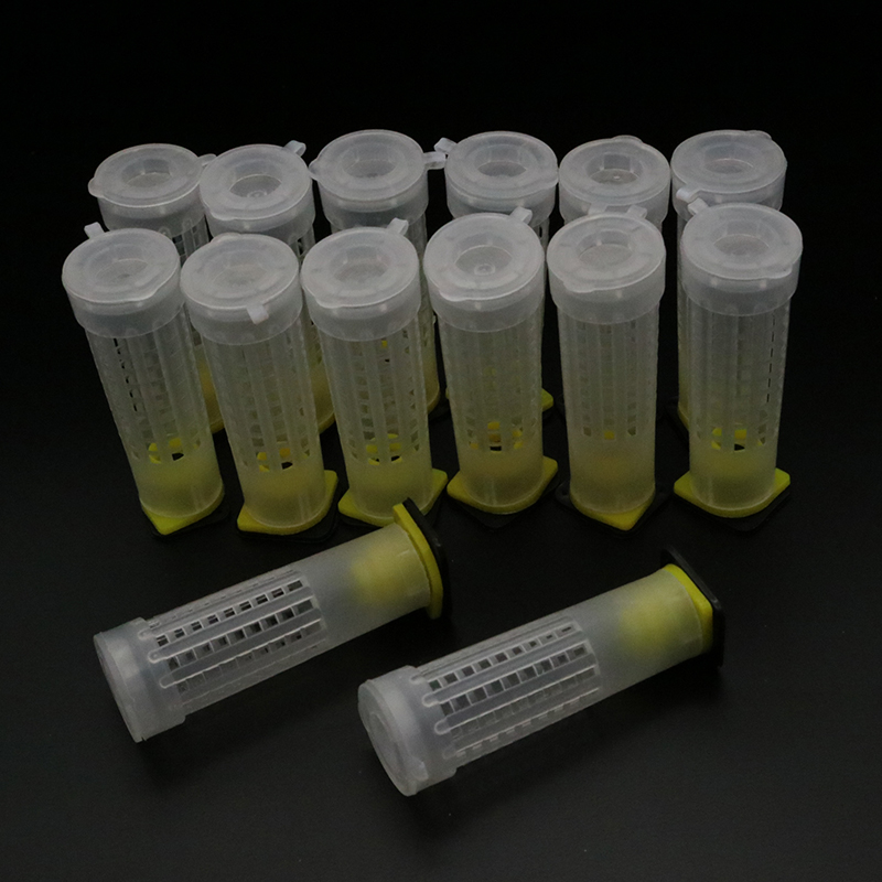 1 Set Bees Tools Cages King Qu - Begonia Rex ulasan dan harga