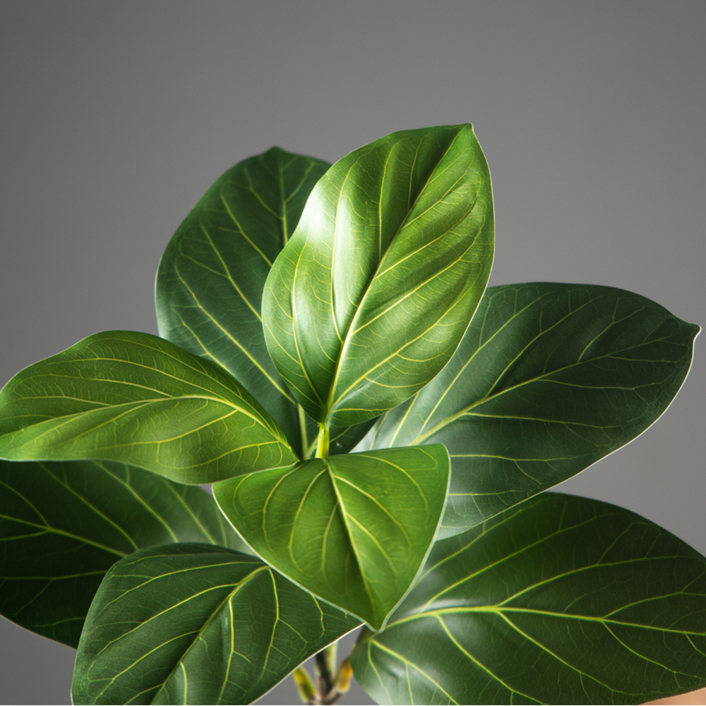 70-130cm Large Artificial Bany - Ficus Lyrata Tree ulasan dan harga