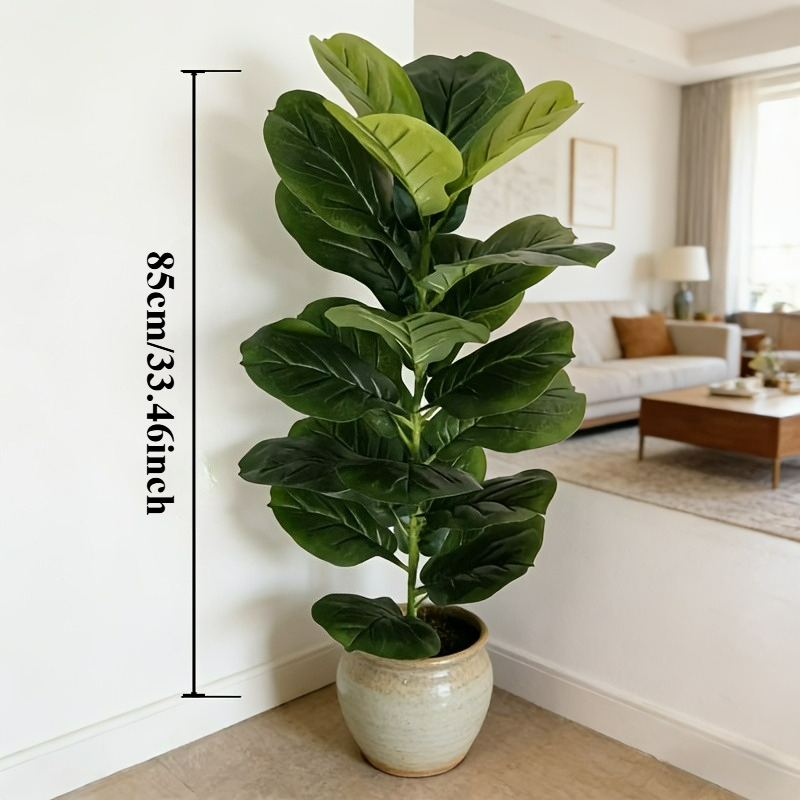 1pc of 85cm Artificial Ficus L - Dracaena Marginata ulasan dan harga