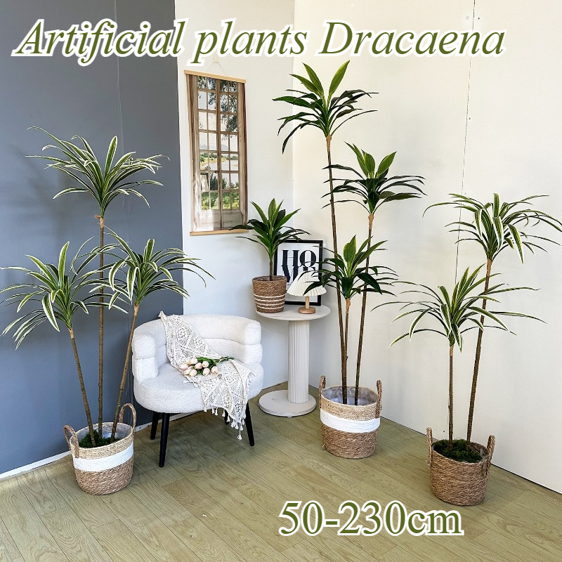 Artificial Dracaena Fake Plant - Dracaena Marginata ulasan dan harga