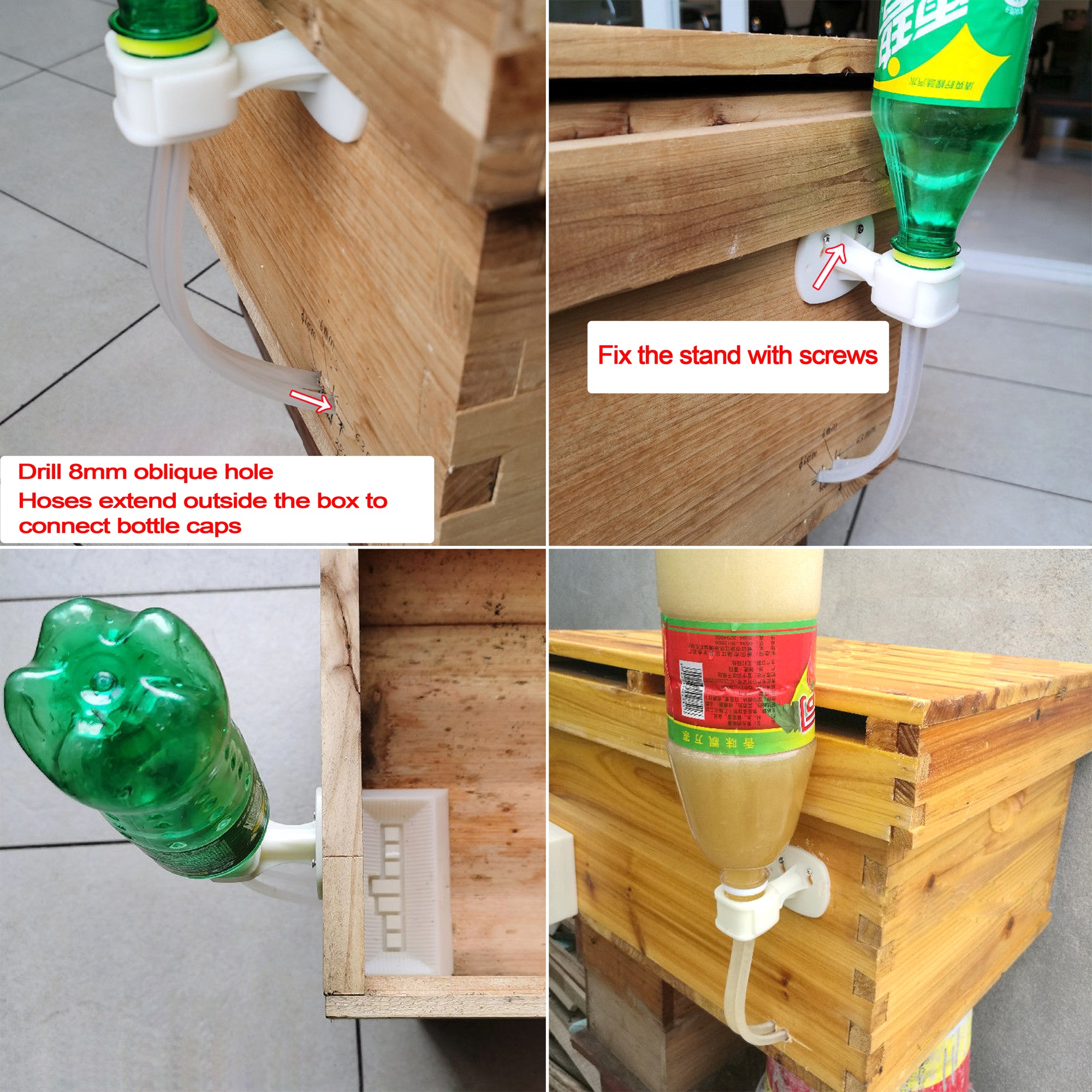 2Pcs Automatic Feeding Drinker - Begonia Rex ulasan dan harga