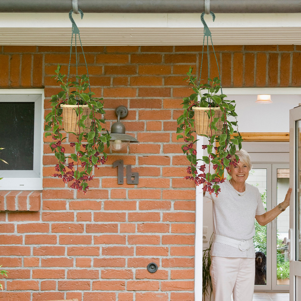 5Pcs Heavy Duty Hanging Basket - Spider Plant Hanging ulasan dan harga