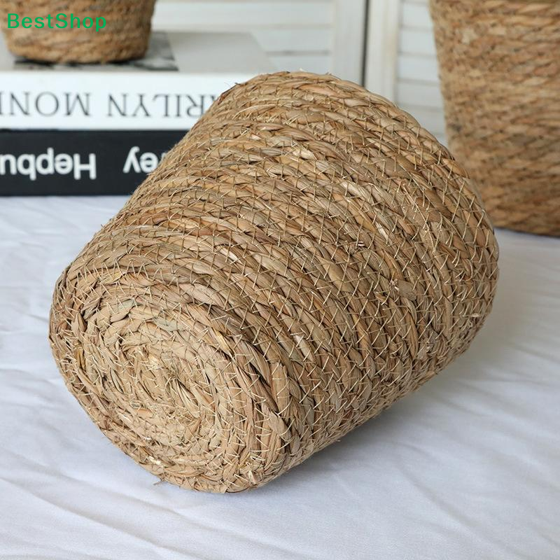 ♩Handwoven Seagrass Plant Pots - Aloe Vera Pot ulasan dan harga
