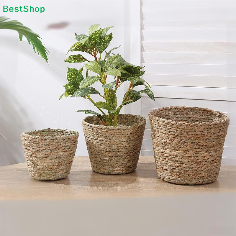 ♩Handwoven Seagrass Plant Pots - Aloe Vera Pot ulasan dan harga