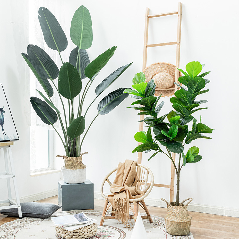 Simulation Palm Tree Artificia - Ficus Lyrata Tree ulasan dan harga