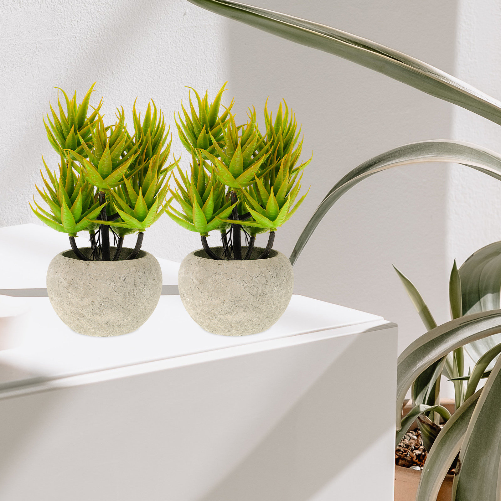 Artificial Aloe Vera Plant Pot - Aloe Vera Pot ulasan dan harga