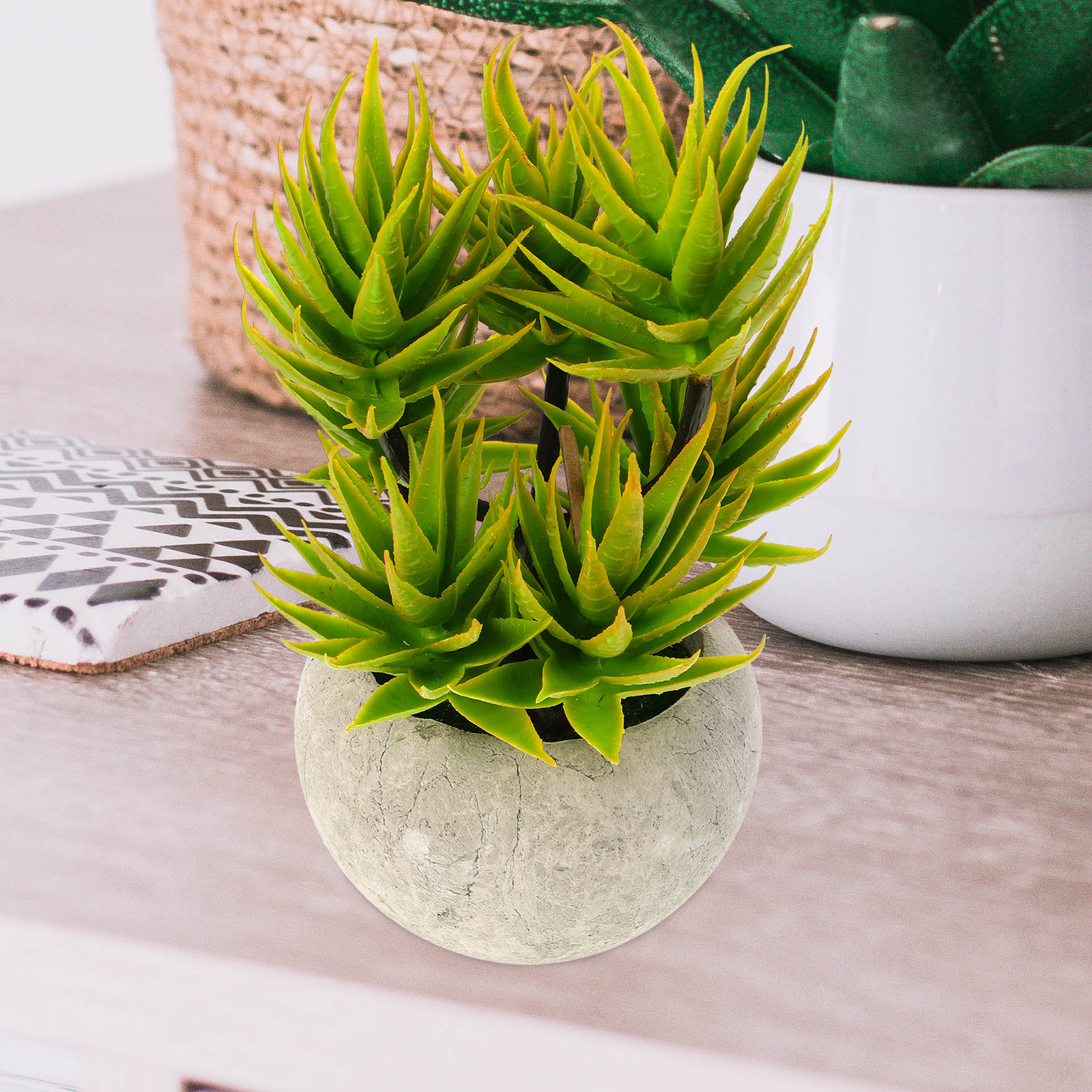 Artificial Aloe Vera Plant Pot - Aloe Vera Pot ulasan dan harga