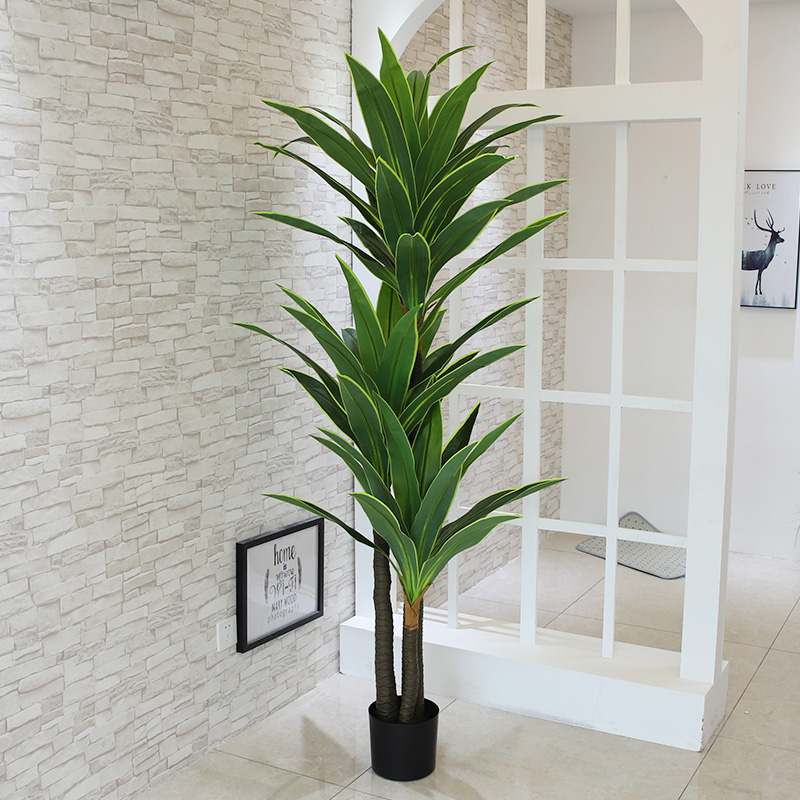 Nordic Wind Large Simulation P - Dracaena Marginata ulasan dan harga