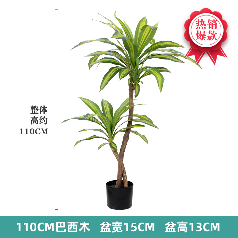 Nordic Wind Large Simulation P - Dracaena Marginata ulasan dan harga