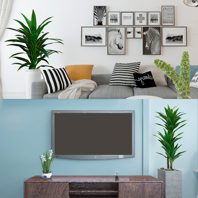 Nordic Wind Large Simulation P - Dracaena Marginata ulasan dan harga