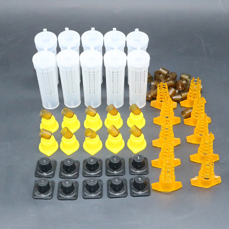 Complete bee queen king rearin - Begonia Rex ulasan dan harga