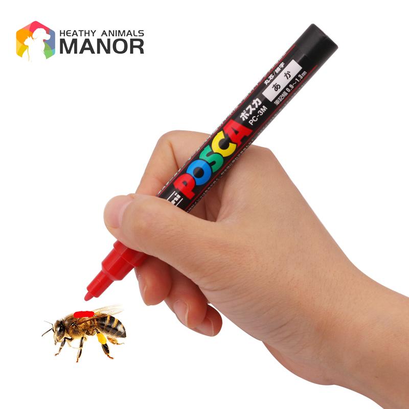 1Pcs Beekeeping Mark Pen Queen - Begonia Rex ulasan dan harga
